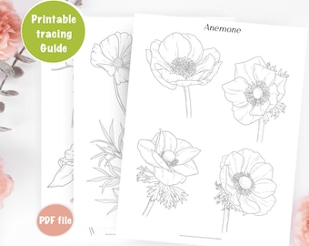 Flower Tracing guides, Learn to Draw Flowers, Coloring pages, printable worksheets, digital download, How to Draw, Anemone, Iris more