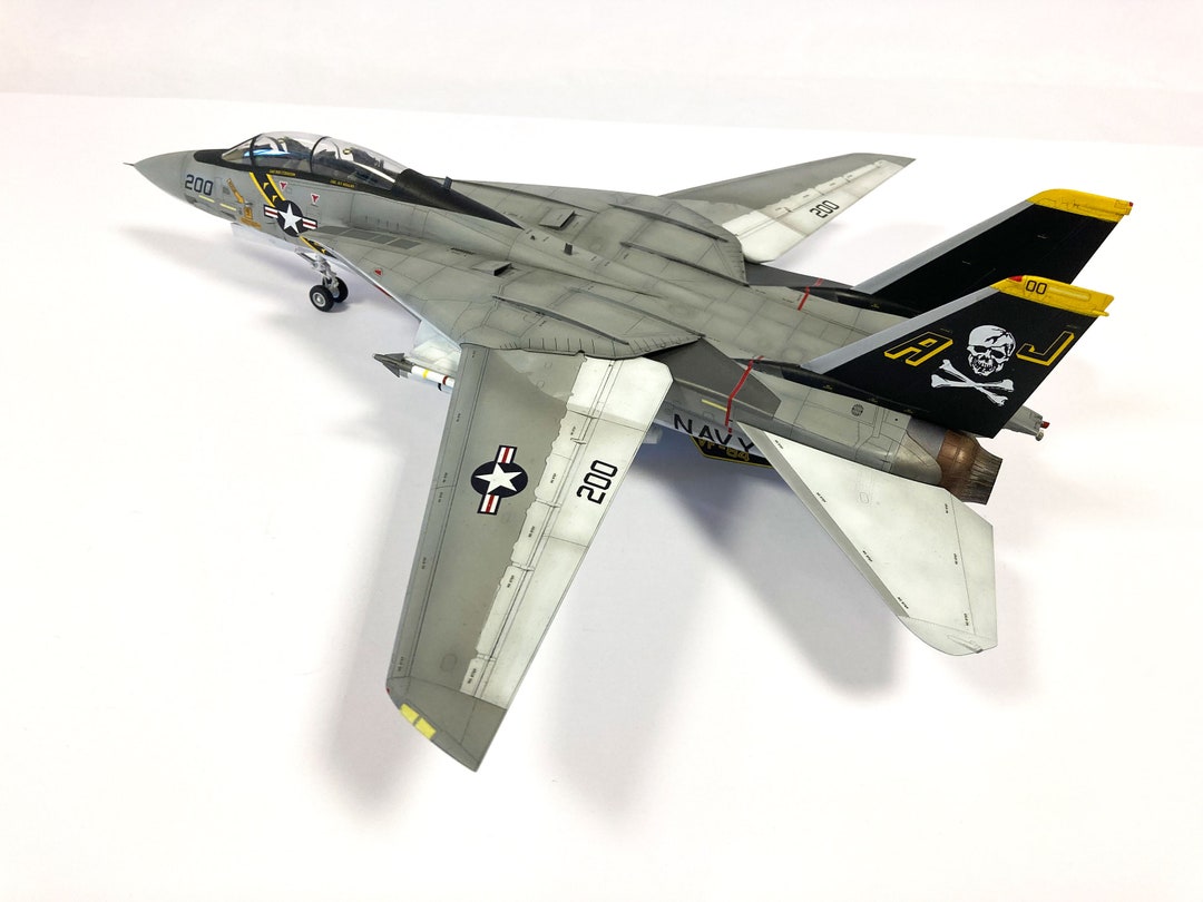 1/48 Scale Grumman F-14A Tomcat - Professionally Built Scale Model ...