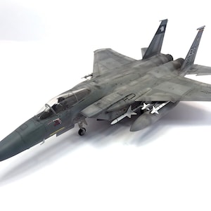 1/48 scale McDonnell Douglas F-15 Eagle - professionally built scale model