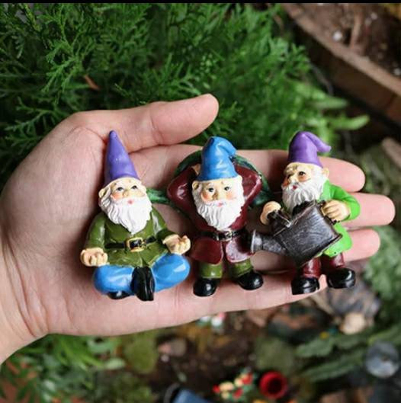 Set of 5 Funny Garden Gnomes Minature Garden Gnome Etsy UK