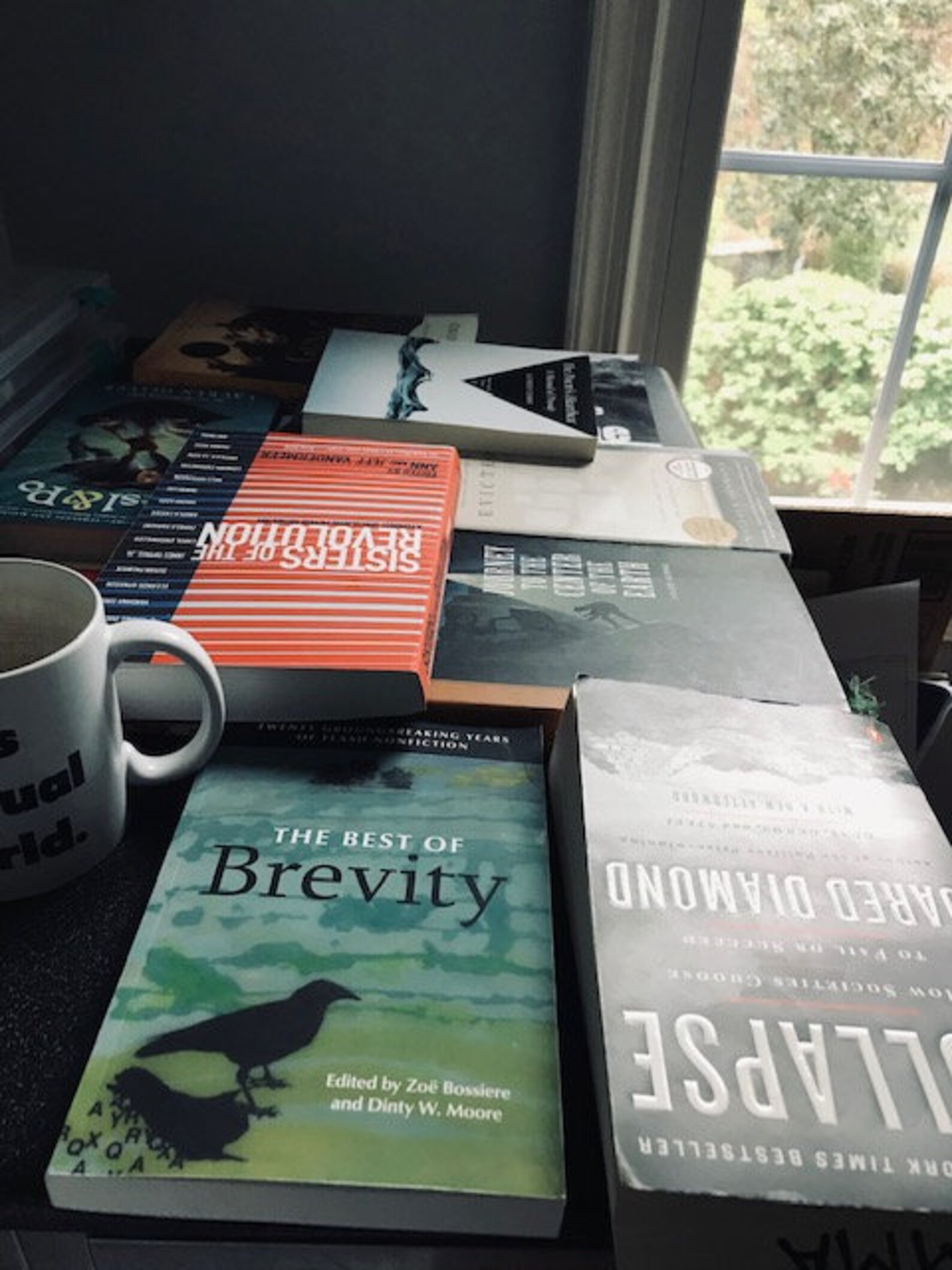 Gently used books looking for a new reader Etsy