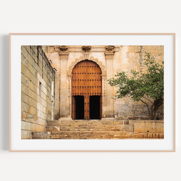 Oaxaca, Mexico | Old wood door with a little tree | Mexico printable photography | Wall art | Print | Digital instant download