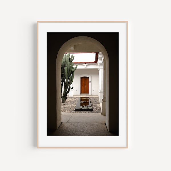 Oaxaca, Mexico | Cactus on a withe wall with a wood door | Mexico printable photography | Wall art | Print | Digital instant download