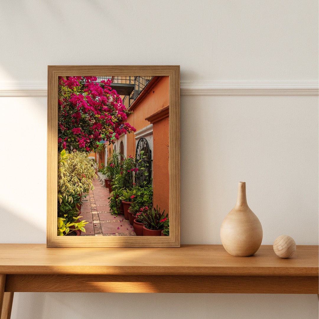 Oaxaca, Mexico Street Corner With Bugambilias Pink Flowers Mexico ...