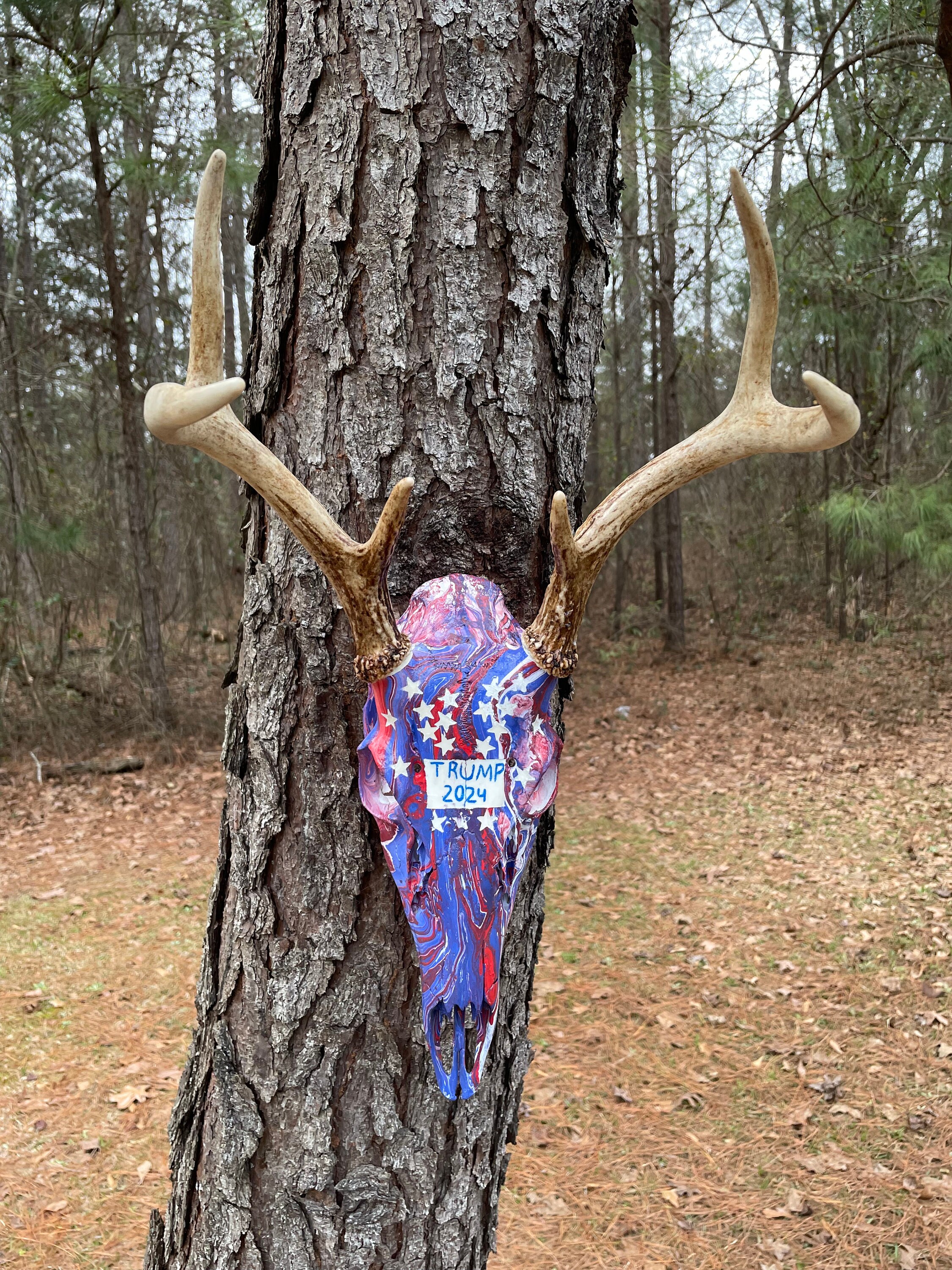 Deer Skull (whitetail Buck 6 Point Trump Theme) - Etsy