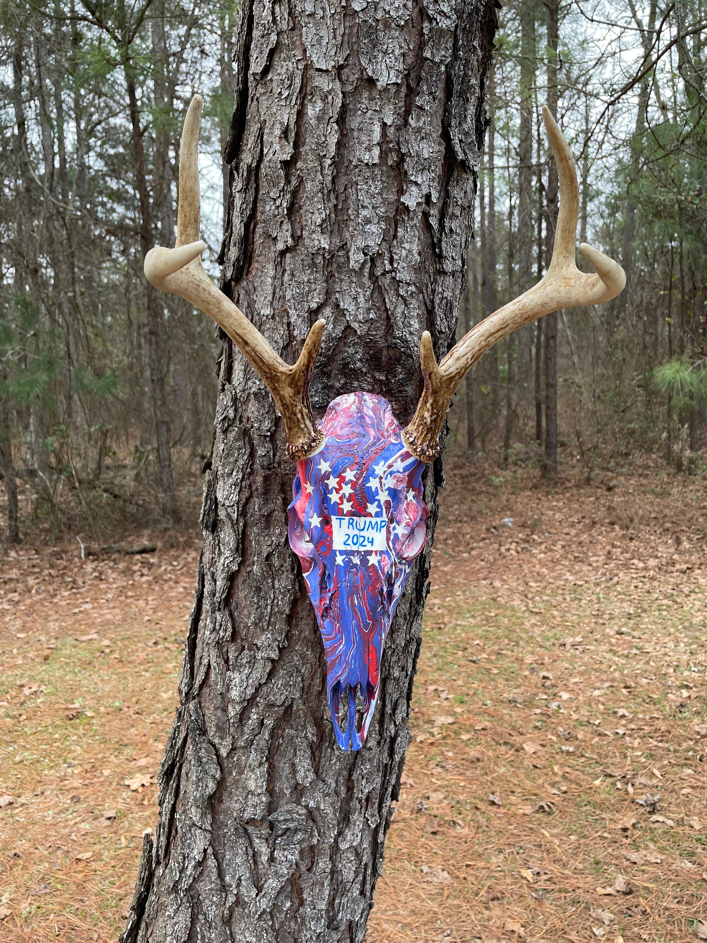 Deer Skull (whitetail Buck 6 Point Trump Theme) - Etsy