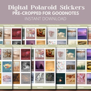 Positive Polaroid Digital Sticker Set // Includes Pre-Cropped Goodnotes file and PNGs // Six Pages