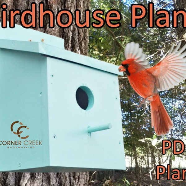 DIY Birdhouse Plans, Simple Bird House, Father Day Birdhouse, Decor, Bird , Tree bird house,  Woodwork, Bird watcher,Nature enthusiasts