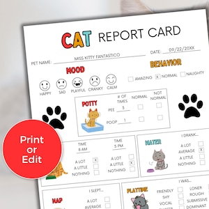 Informe de gatos editable, informe de alojamiento de gatos, informe de guardería de gatos, informe de cuidado de gatos, tarjeta de cuidado de gatos, plantilla de informe de cuidado de gatos