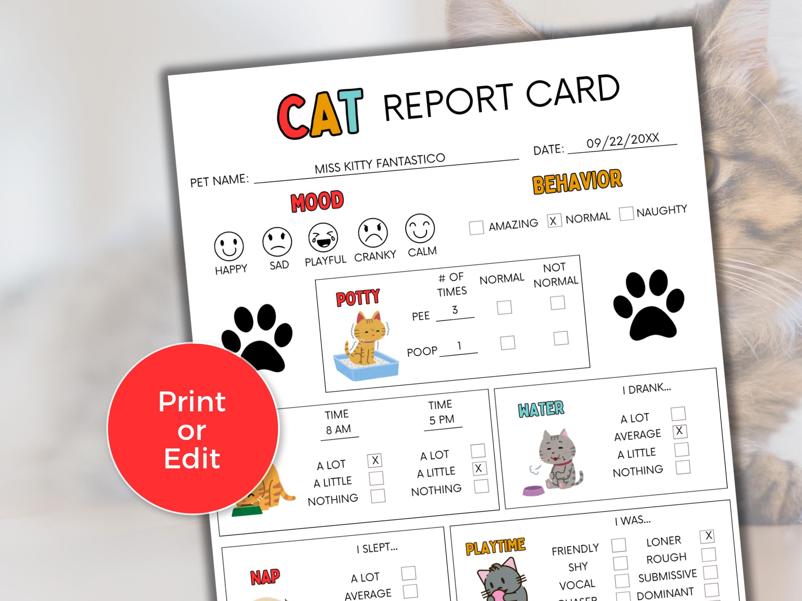 EDITABLE Cat Report Card, Cat Boarding Report, Cat Daycare Report Card ...