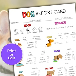 Informe canino editable, informe de alojamiento canino, informe de guardería canina, informe de cuidador de mascotas, tarjeta de cuidador de mascotas, informe de paseador de perros, cuidado de perros