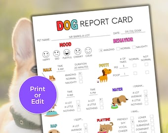 Informe canino editable, informe de alojamiento canino, informe de guardería canina, informe de cuidador de mascotas, tarjeta de cuidador de mascotas, informe de paseador de perros, cuidado de perros