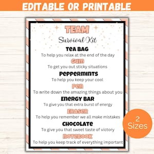Editable Team Survival Kit Gift Tags, Team Appreciation Survival Kit Template, Welcome Gift for Coworkers, Employees, Work, Volunteers