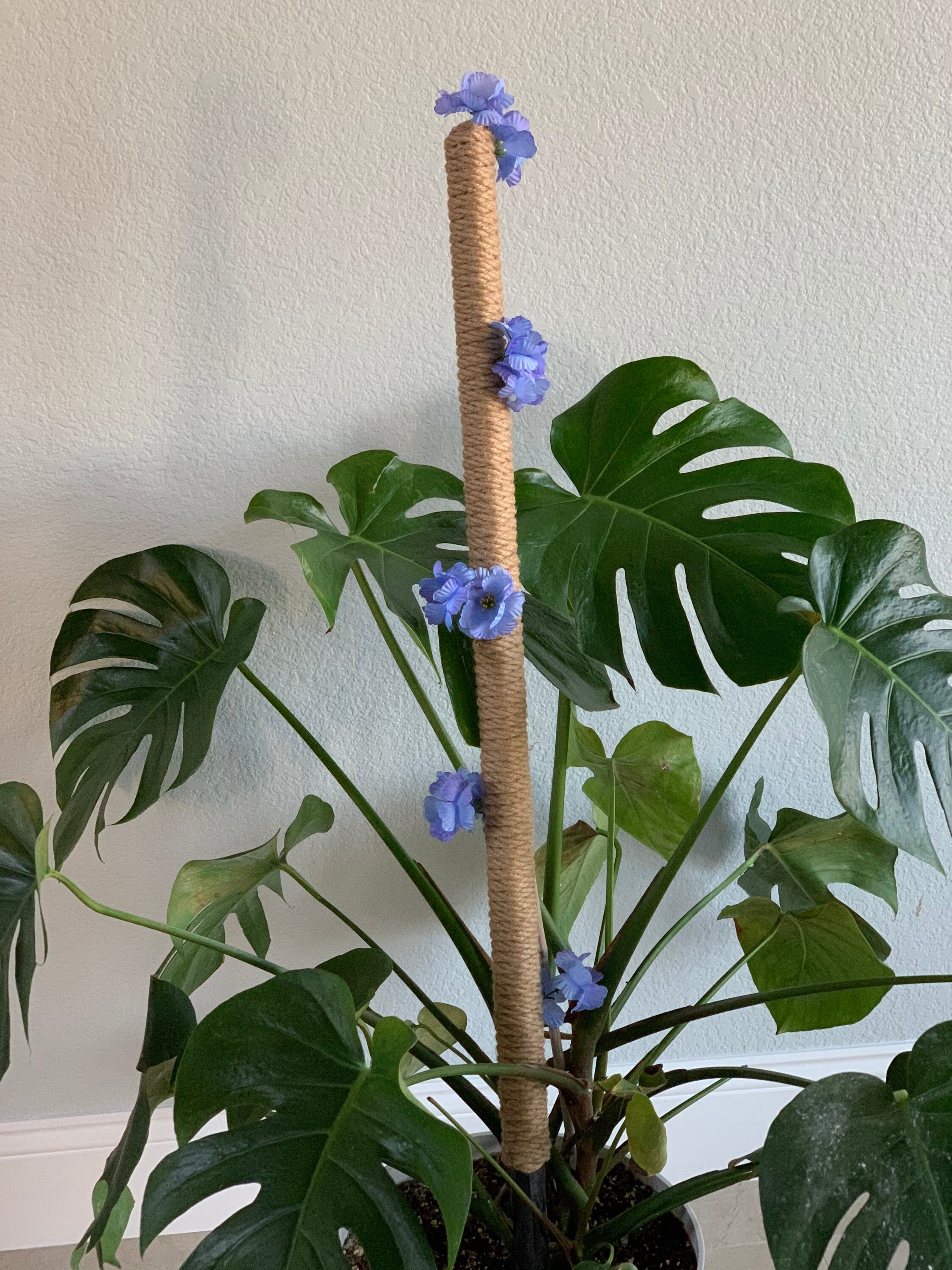 Blooming Plant Pole36 inch Handmade Jute Plant Support Pole Etsy