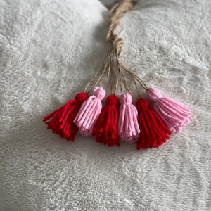 6 Tassel Plant Ties for Moss or Jute Plant Support Poles