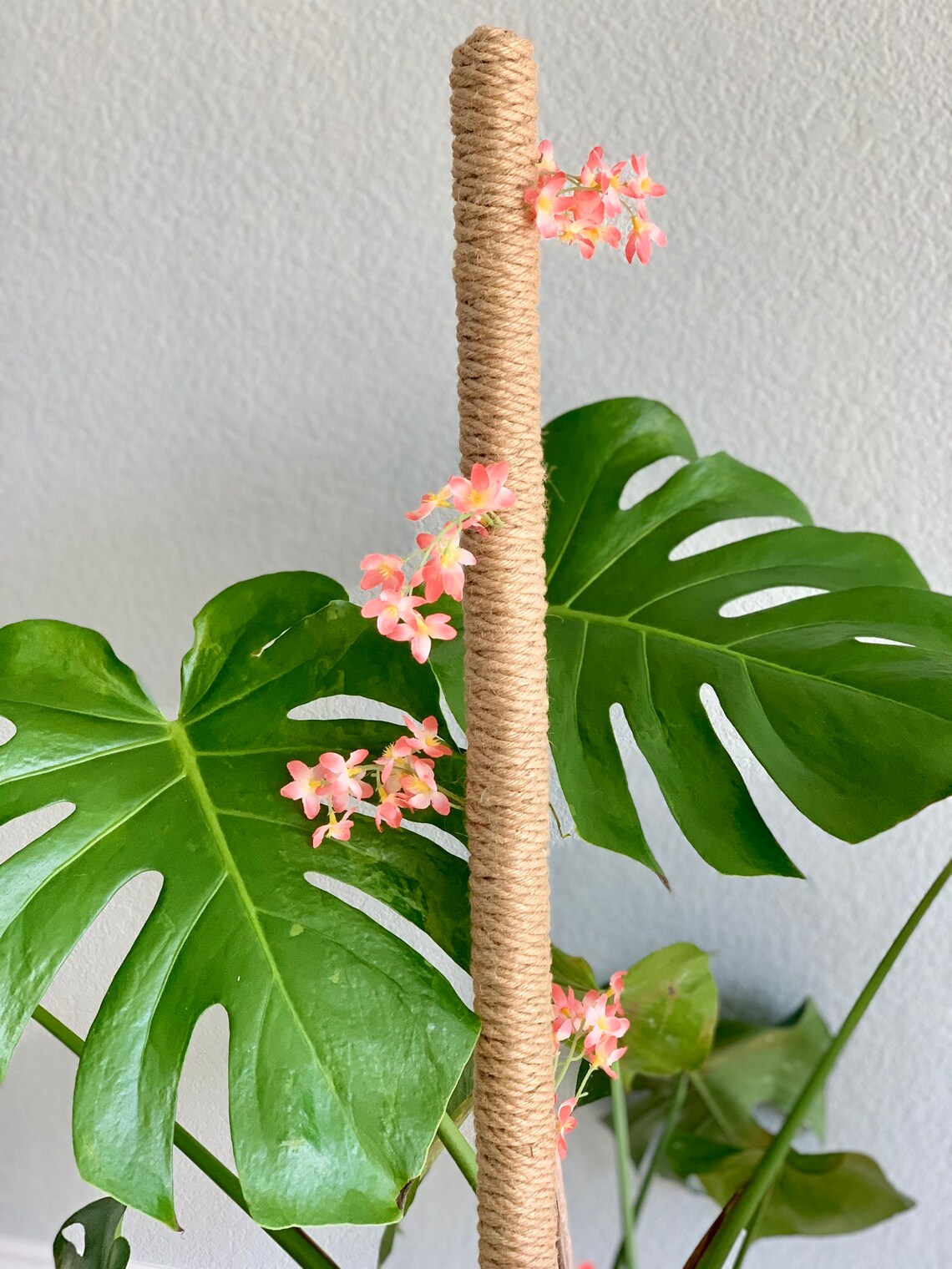 Blooming Plant Pole36 inch Handmade Jute Plant Support Pole Etsy