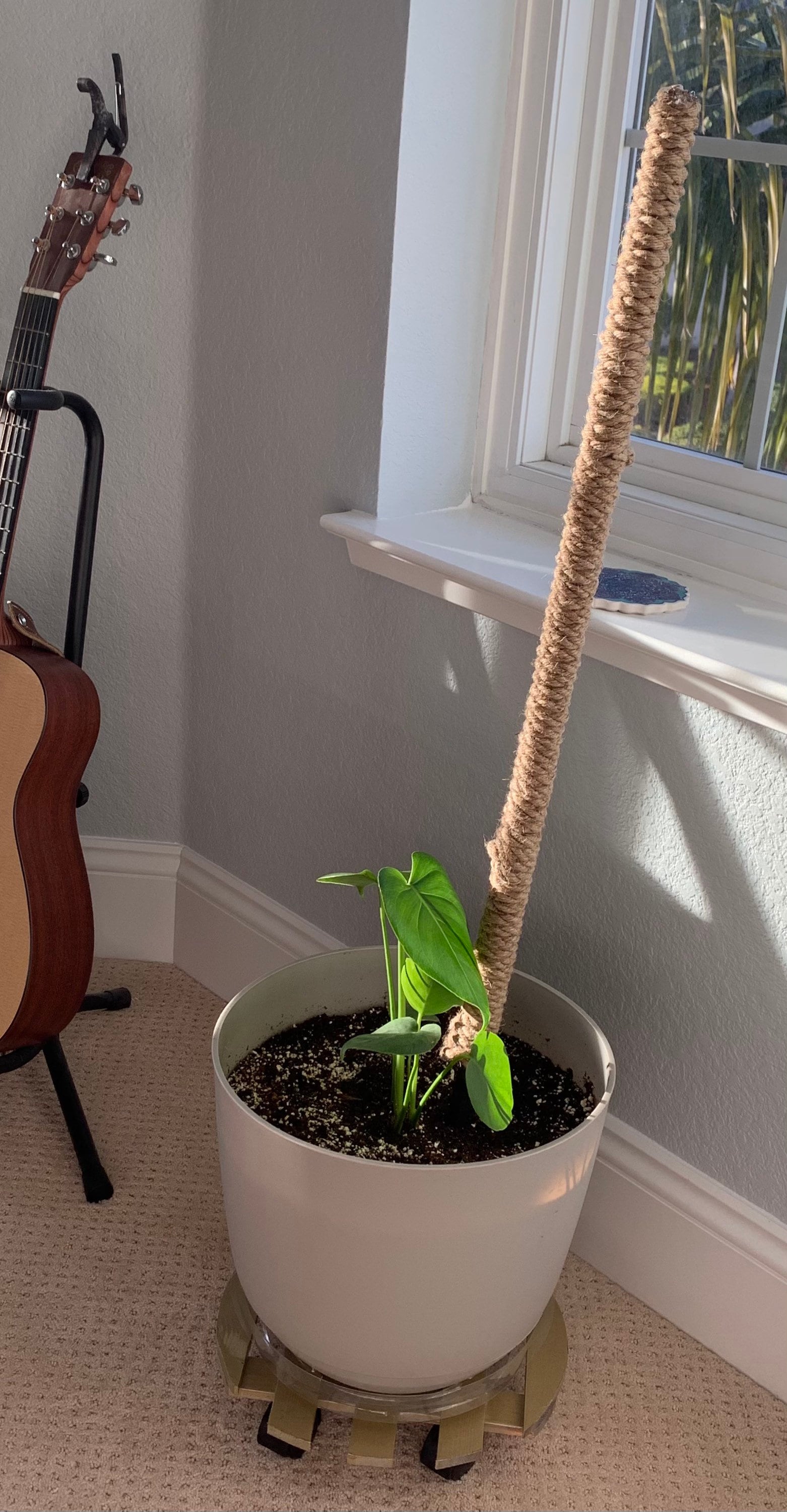 36 inch Handmade Jute Plant Support Pole for Monsteras Etsy