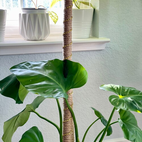 2pack 16 Inch Handmade Jute Plant Pole for Climbing Plants Etsy