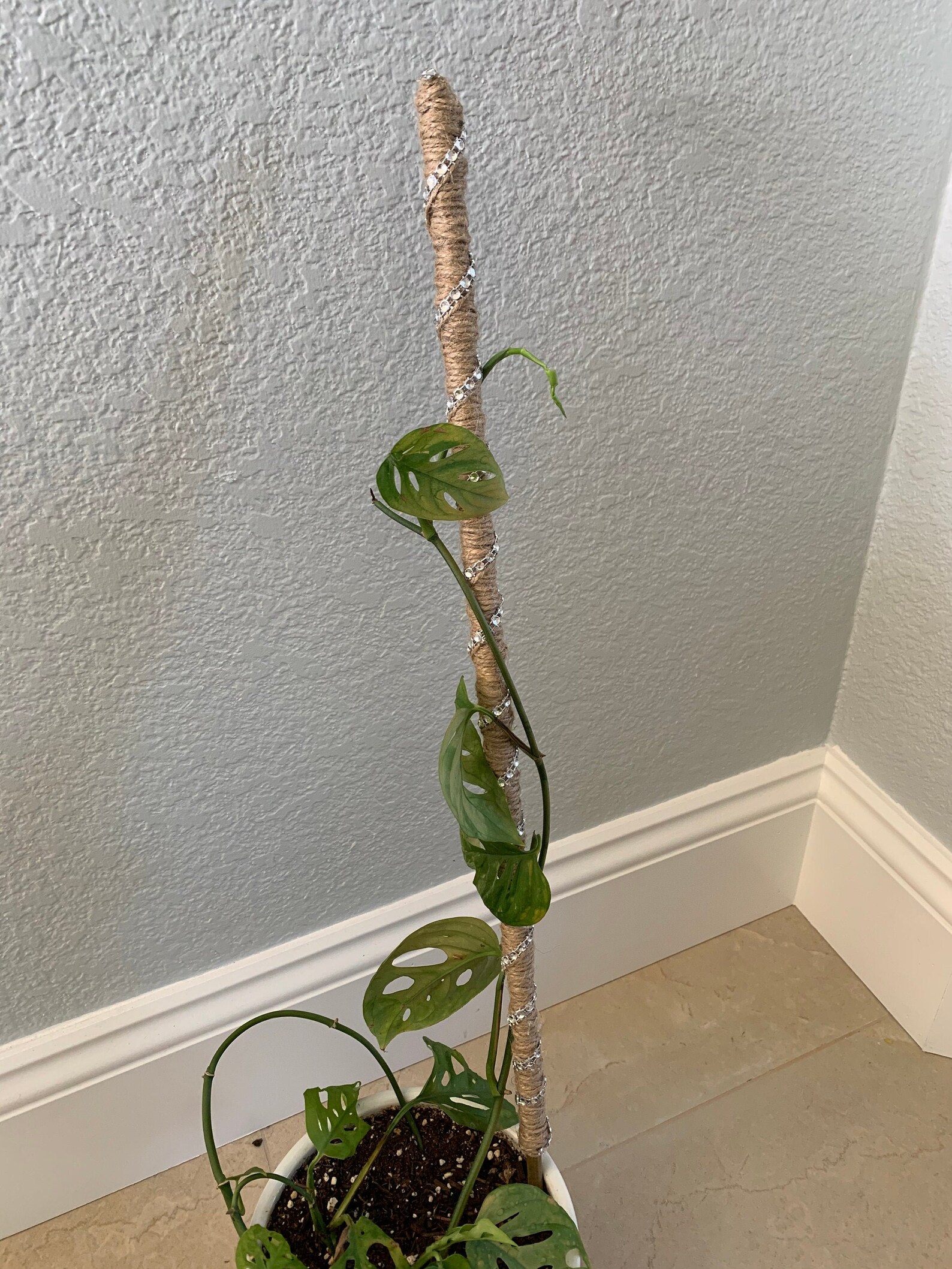 24 Inch Handmade Jute Plant Pole W/ Rhinestones for Monsteras Etsy