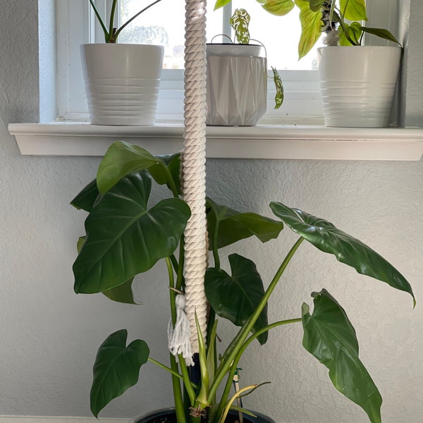 24 inch Handmade Soft Organic White Macrame Glam Cotton Plant Pole for Monsteras, Philodendron, Pothos, and Other Climbing Plants