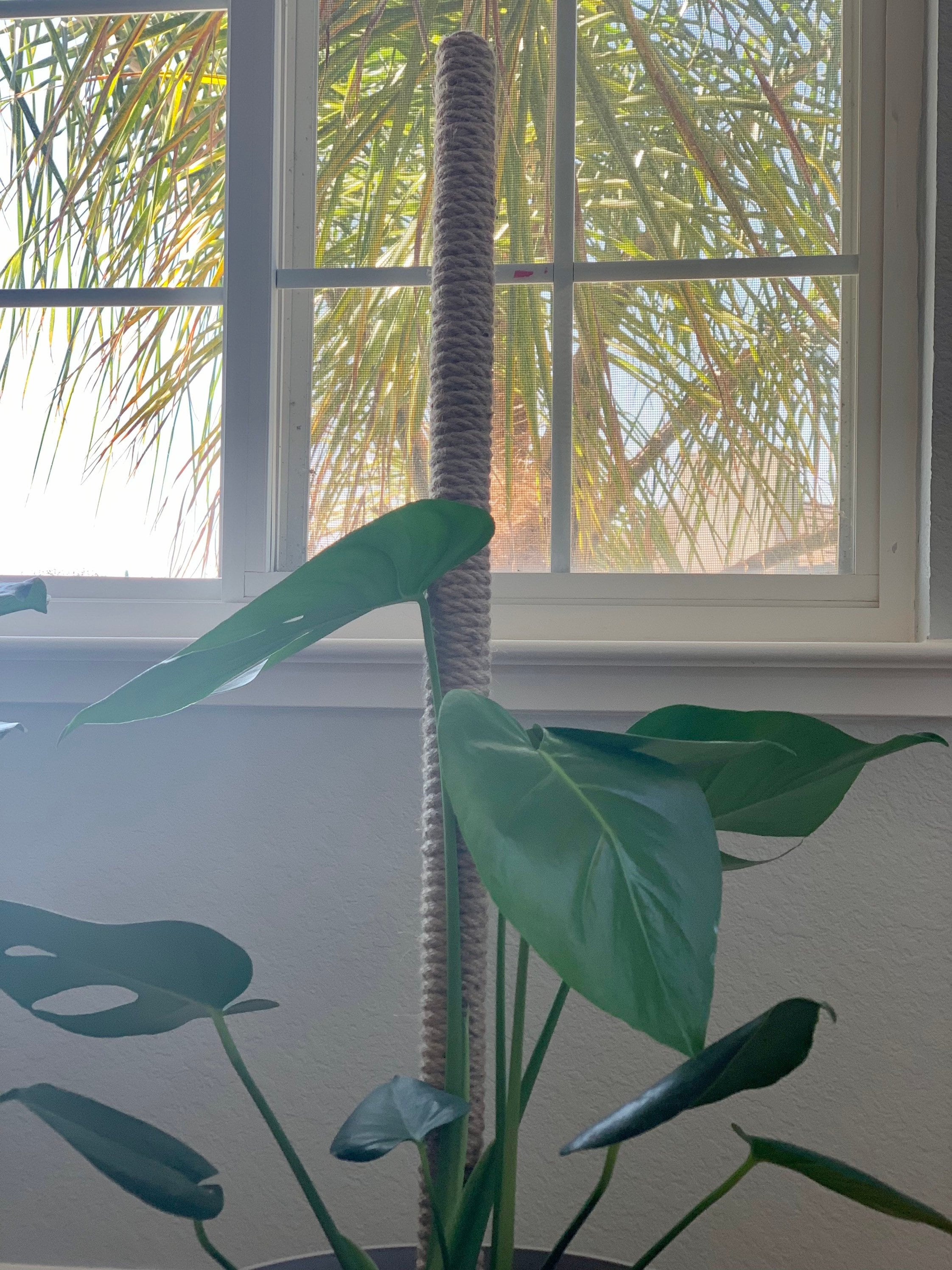 36 inch Solid Wood Handmade Jute Plant Support Pole for Etsy