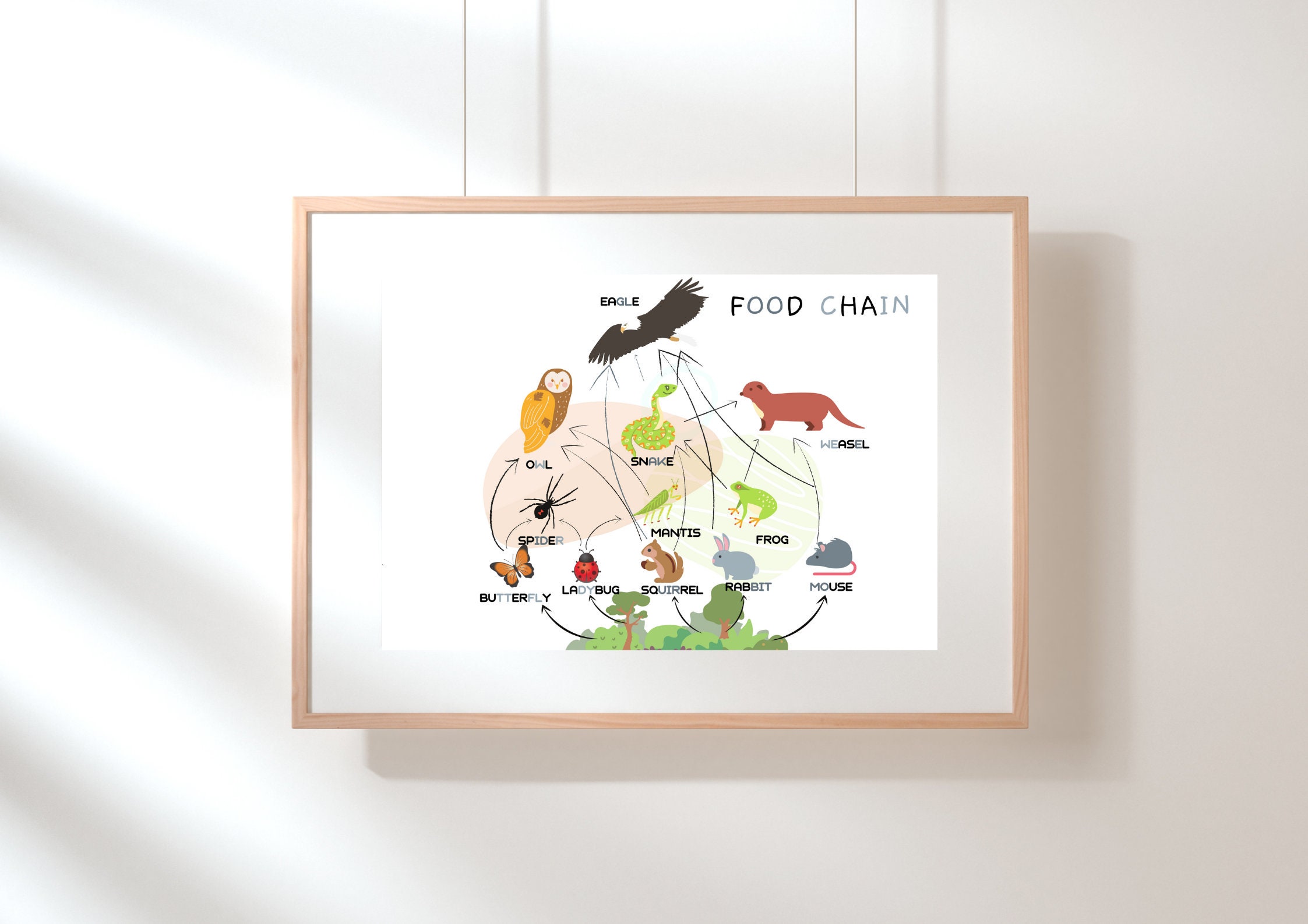 Food Chain poster Ecosystem poster Educational Poster | Etsy