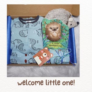 Cadeauset babyjongen egelthema, welkomstcadeaudoos baby, uniek babycadeau, cadeaudoos babyshower, cadeauset pasgeborene, romper, boek, speelgoed