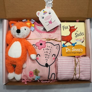 Fuchs Thema Geschenkbox für Baby Mädchen, nettes Geschenk für neue Eltern, Willkommen zu Hause Geschenk, Baby-Dusche-Geschenk, Baby Girl Geschenkkorb,