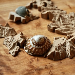 Topographical Puzzle of Catalina Island