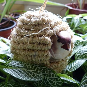 May include: A small bird figurine with a brown beak and white feathers is nestled in a woven straw nest. The nest is a light brown color and has a rough texture.