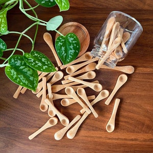 Mini Bamboo Wooden Spoon for Spice / Seasoning Jars , Glass Jars, Home  Organization 