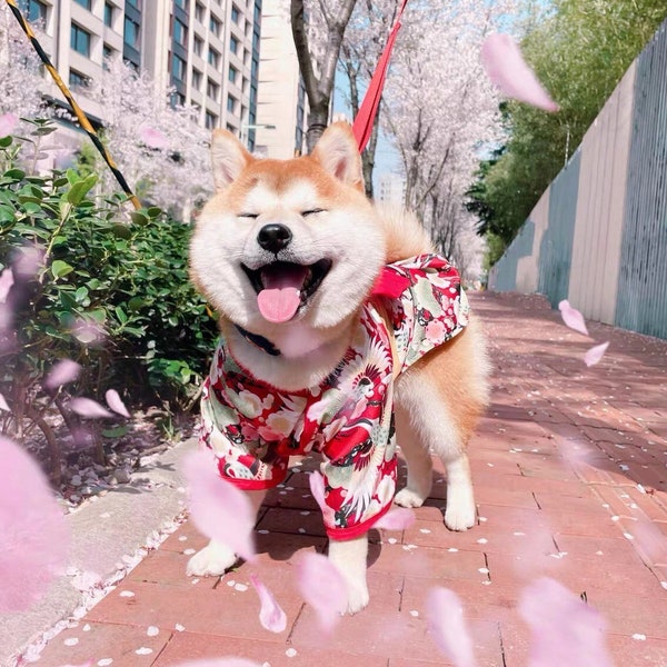 Kimono Pet Costume Robe | Wafuku Japanese Style Floral Print Dog Cat Cosplay | Cute Pet Dress Shiba Inu | Wedding Birthday Holiday Gift