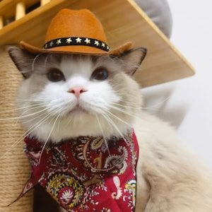 Cowboy Pet Western Stylish Dog Cat Costume | Star-Studded Texas Hat | Pet Halloween Gift Thanksgiving Christmas Cattery Wedding Barbie Pink