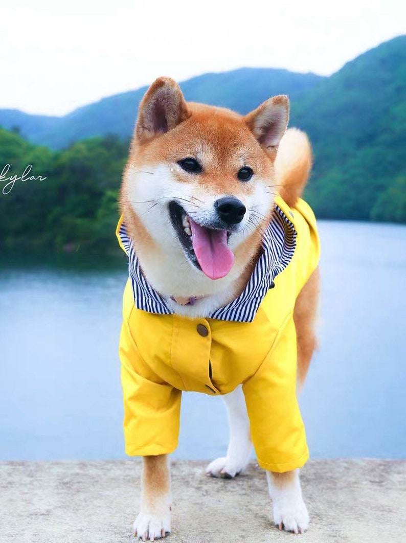 Bright Yellow British Style Dog Raincoat Light Weight Etsy