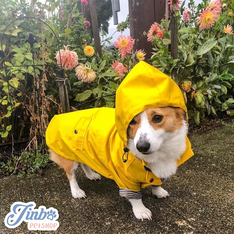 Pink Yellow British Style Dog Raincoat, Light Weight Waterproof Hoodie Jacket, All Season Wear Large dogs Clothes puppy Outdoor Christmas image 9