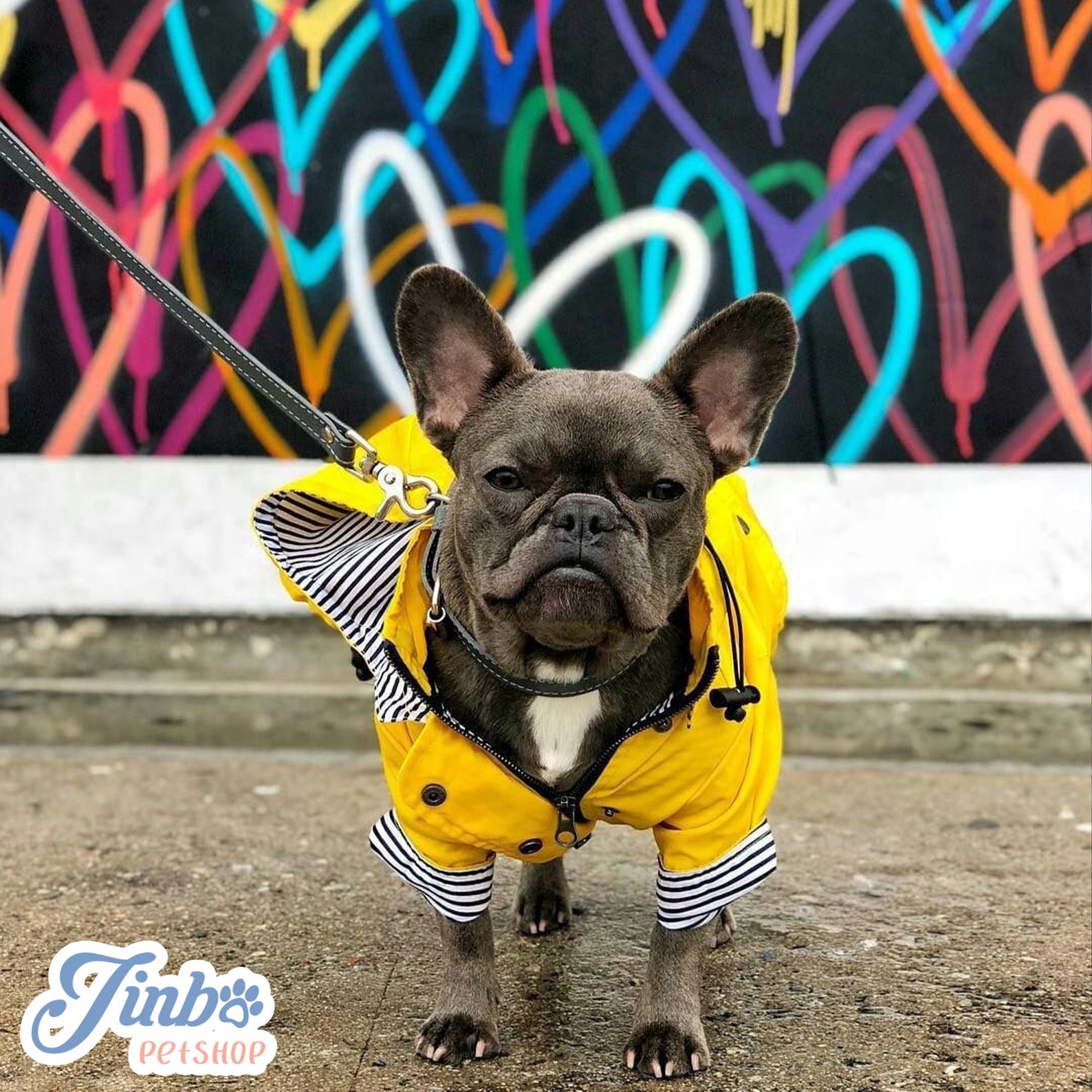 Bright Yellow British Style Dog Raincoat Light Weight Etsy