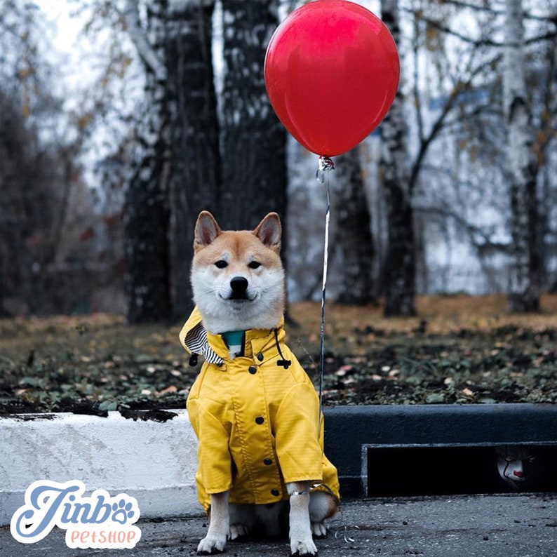 Pink Yellow British Style Dog Raincoat, Light Weight Waterproof Hoodie Jacket, All Season Wear Large dogs Clothes puppy Outdoor Christmas image 1