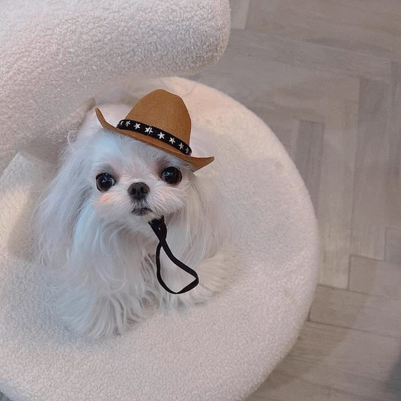 Cowboy Pet Western Stylish Dog Cat Costume Star-Studded Texas Hat Pet Halloween Gift Thanksgiving Christmas Cattery Wedding Barbie Pink image 9