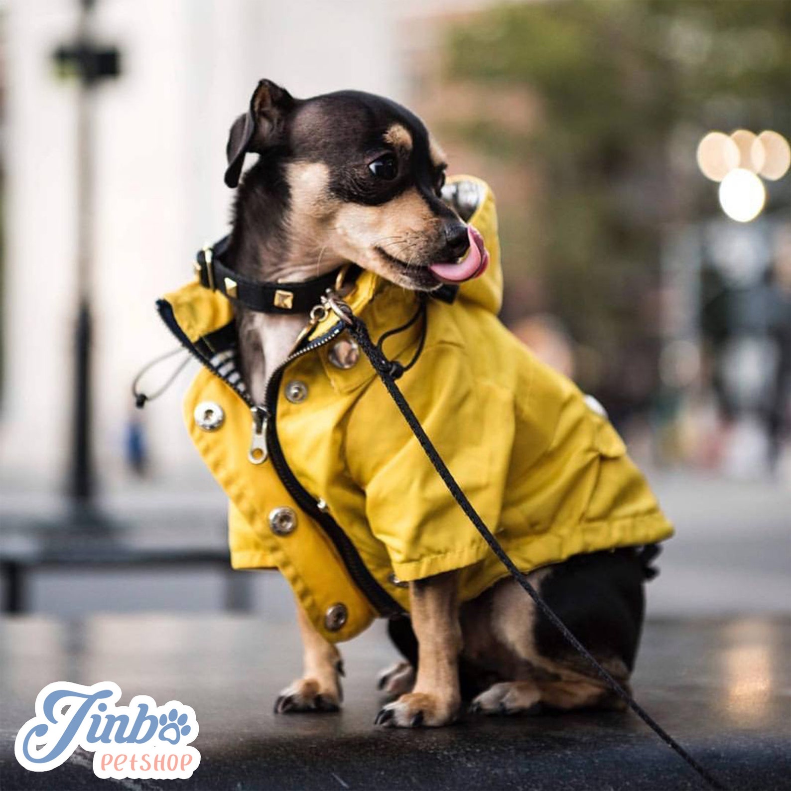 Bright Yellow British Style Dog Raincoat Light Weight Etsy