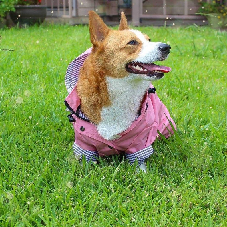 Pink Yellow British Style Dog Raincoat, Light Weight Waterproof Hoodie Jacket, All Season Wear Large dogs Clothes puppy Outdoor Christmas image 8
