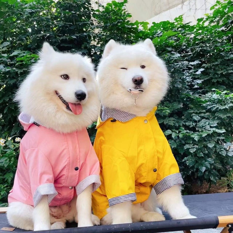 Pink Yellow British Style Dog Raincoat, Light Weight Waterproof Hoodie Jacket, All Season Wear Large dogs Clothes puppy Outdoor Christmas image 3