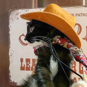 Cowboy Pet Western Stylish Dog Cat Costume Star-Studded Texas Hat Pet Halloween Gift Thanksgiving Christmas Cattery Wedding Barbie Pink image 10