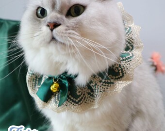 cat victorian collar