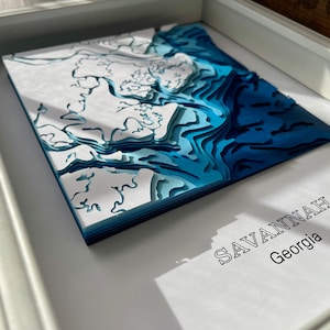 Aangepaste savanne (Georgia) kaart | 3D-gelaagde papierbathymetrie | INGELIJST | Aangepaste kustlijnkaart