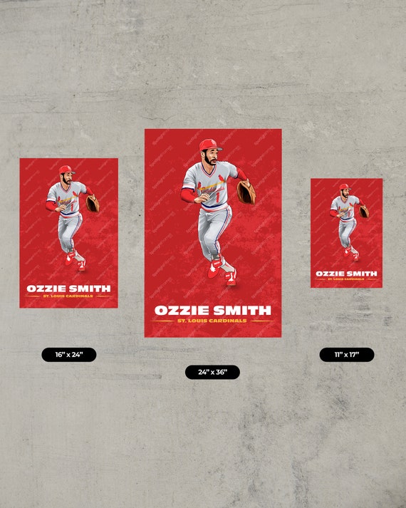 Ozzie Smith St Louis Cardinals in 2023  St louis cardinals poster, St  louis cardinals baseball, St louis cardinals