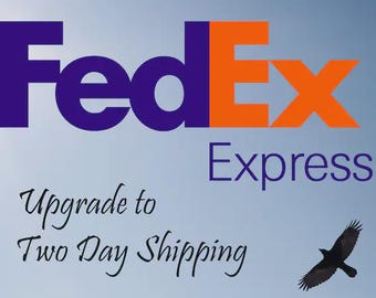 Priority Shipping Upgrade: Expedited Order Processing