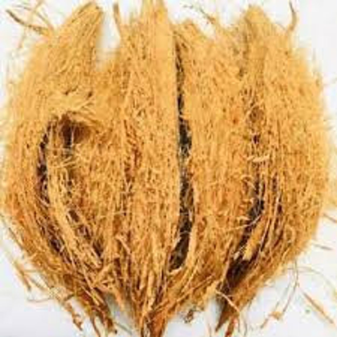 Coconut Husk Fiber Pure Organic Coconut Husk Homemade Etsy