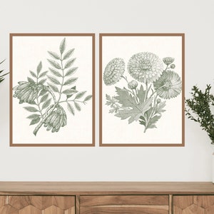 Botanical Wall Art, Floral Print Set of 2, Vintage Digital Prints, Modern Decor, Sage Green, Farmhouse Decor,Home Decor, Floral Home Accents