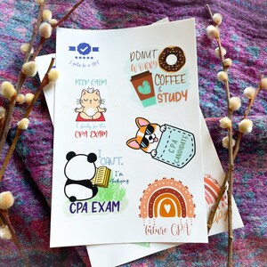 CPA Exam Sticker Bundle (6 Stickers on One Sheet) | Vinyl Sticker ...