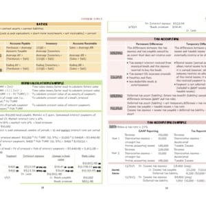 2024 | CPA Exam Review Notes - FAR | Digital Download | 39 Pages ...